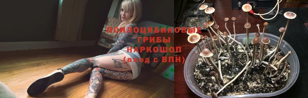 индика Алексеевка