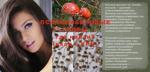 дживик Россошь