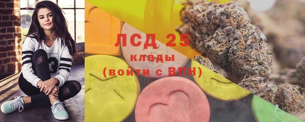индика Алексеевка
